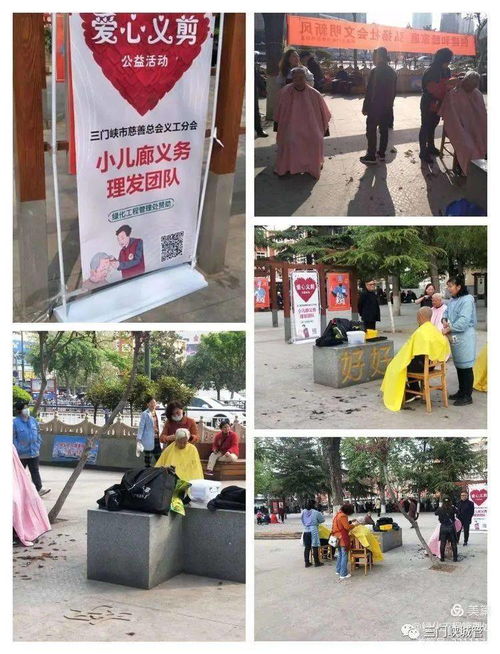 市綠化工程管理處 學黨史辦實事，優化工程管理服務惠民生